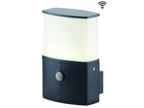 LED Wandstrahler, 10W warmweiß 3000K, 230V, schwarz, IP44