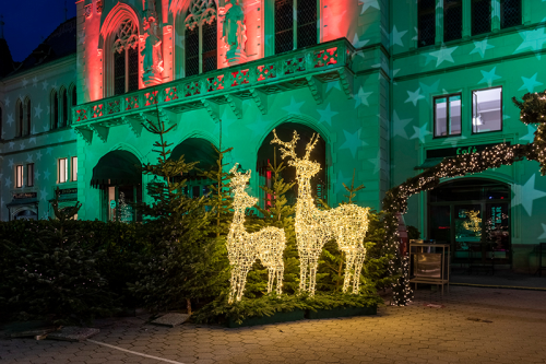 3D-Motiv "Rentier - 1,9m" HxBxT= 1900x1000x400mm| Leistung: 72W | Lichtfarbe: warmweiß | 900 LEDs