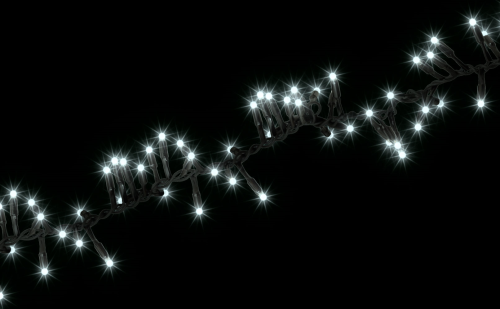 ProSystem Modular LED 230V | Verbindungsstring Cluster 2m | 6,5W | 120 LEDs | kaltweiß | schwarz | IP65 |