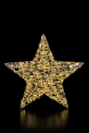 Glamour-hanging Star 50 | gold | DxT: 50x11cm | warmweiß | 720 LEDs | 24V/7,2W | inkl. Steckernetzteil | IP44 |